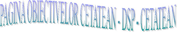 PAGINA OBIECTIVELOR CETATEAN - DSP - CETATEAN
