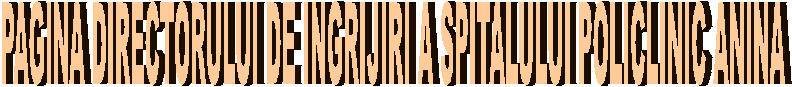 PAGINA DIRECTORULUI DE INGRIJIRI A SPITALULUI POLICLINIC ANINA