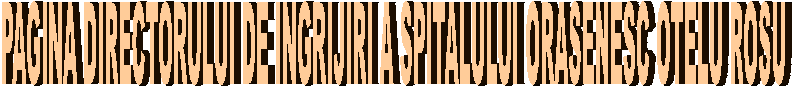 PAGINA DIRECTORULUI DE INGRIJIRI A SPITALULUI ORASENESC OTELU ROSU