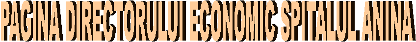 PAGINA DIRECTORULUI ECONOMIC SPITALUL ANINA