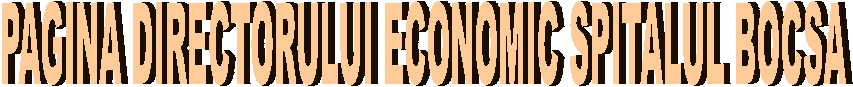 PAGINA DIRECTORULUI ECONOMIC SPITALUL BOCSA