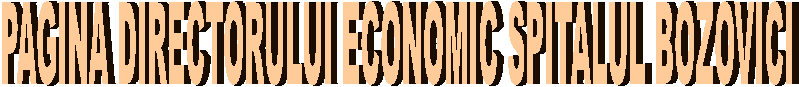 PAGINA DIRECTORULUI ECONOMIC SPITALUL BOZOVICI