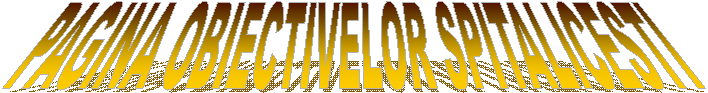 PAGINA OBIECTIVELOR SPITALICESTI